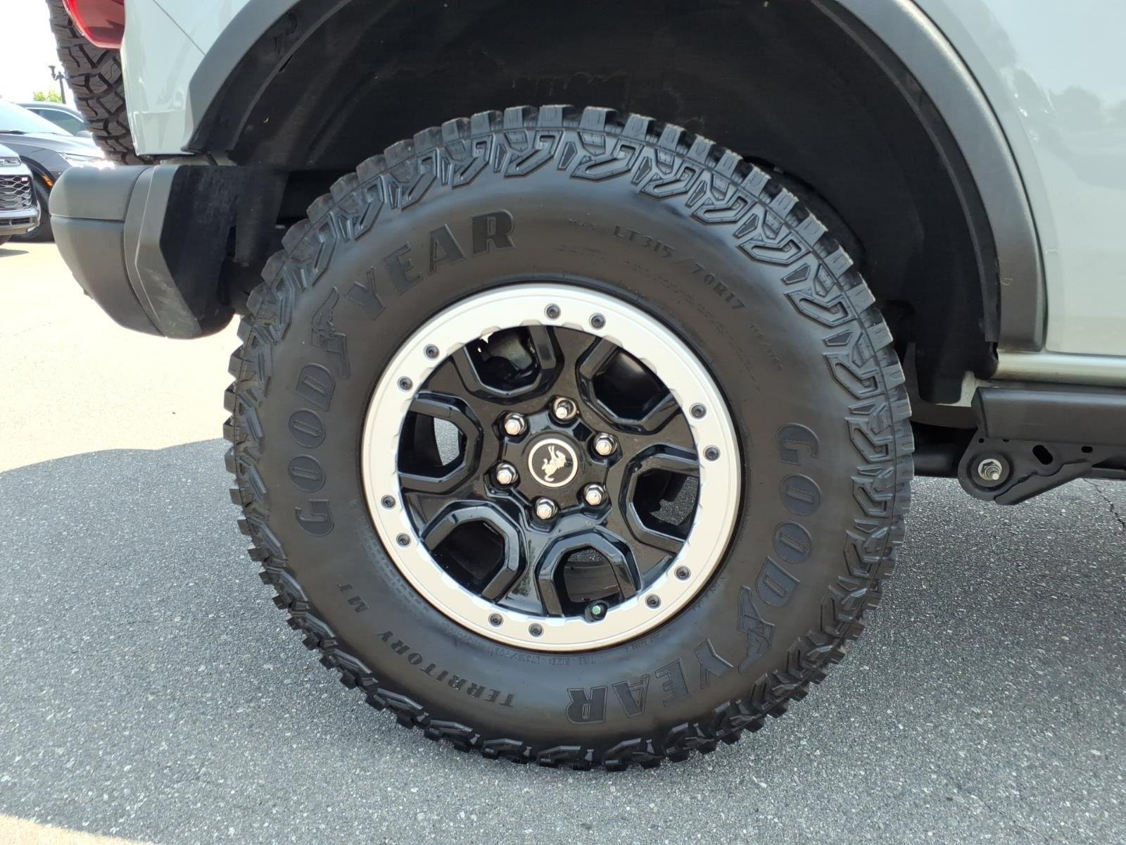 Used 2024 Cactus Gray Ford Black Diamond Sasquatch image 13