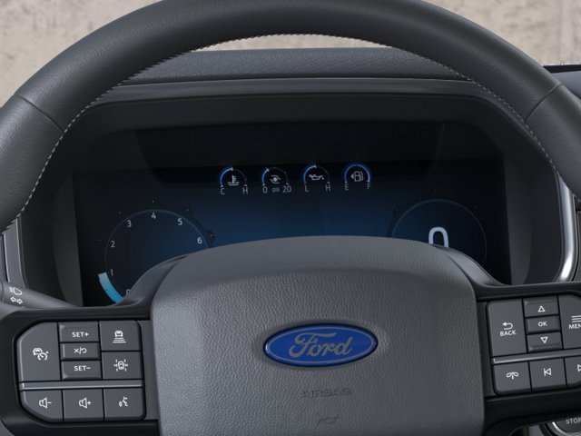 New 2026 Black Ford Platinum image 13
