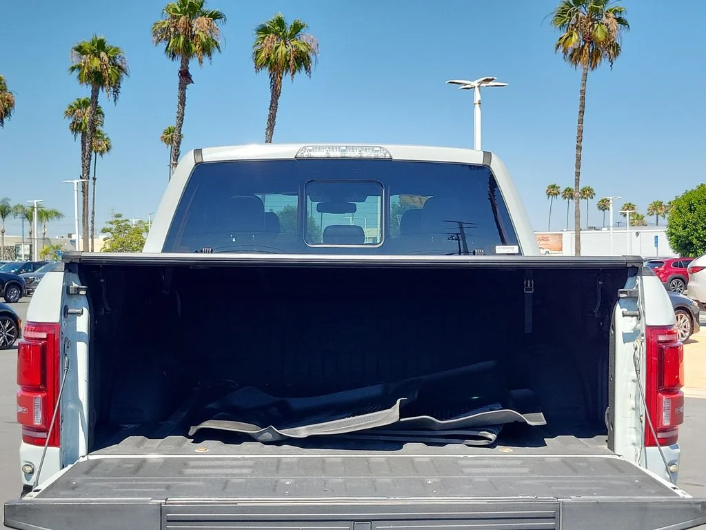 Used 2017 Avalanche Ford Raptor image 28