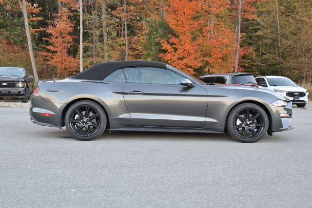 Used 2019 Gray Ford EcoBoost image 6