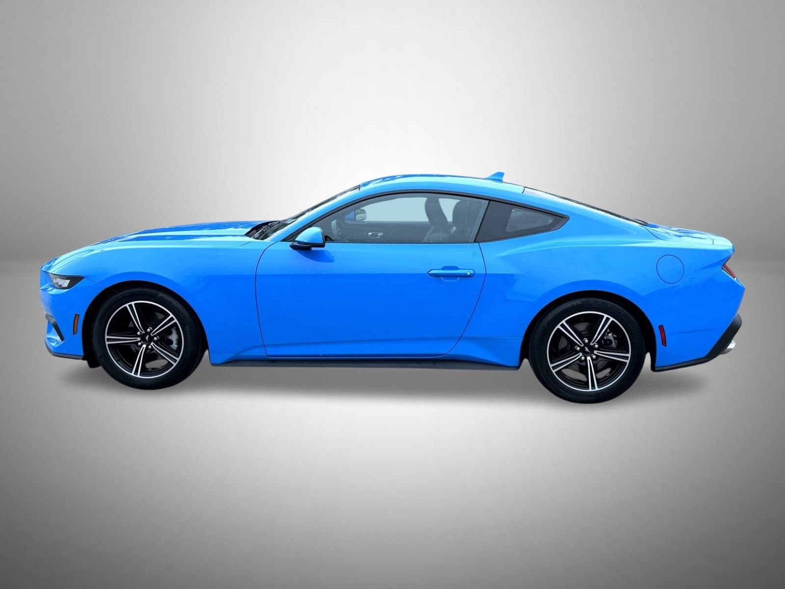 Used 2024 Blue Ford EcoBoost Premium image 8