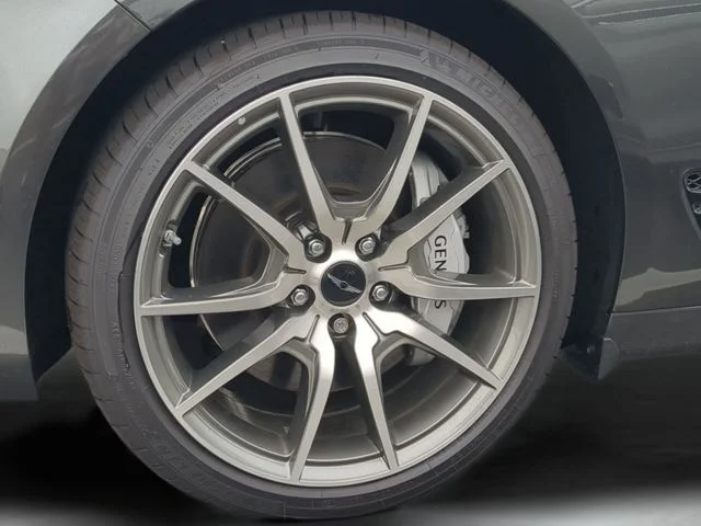 Used 2025 Gray Genesis 2.5T image 10