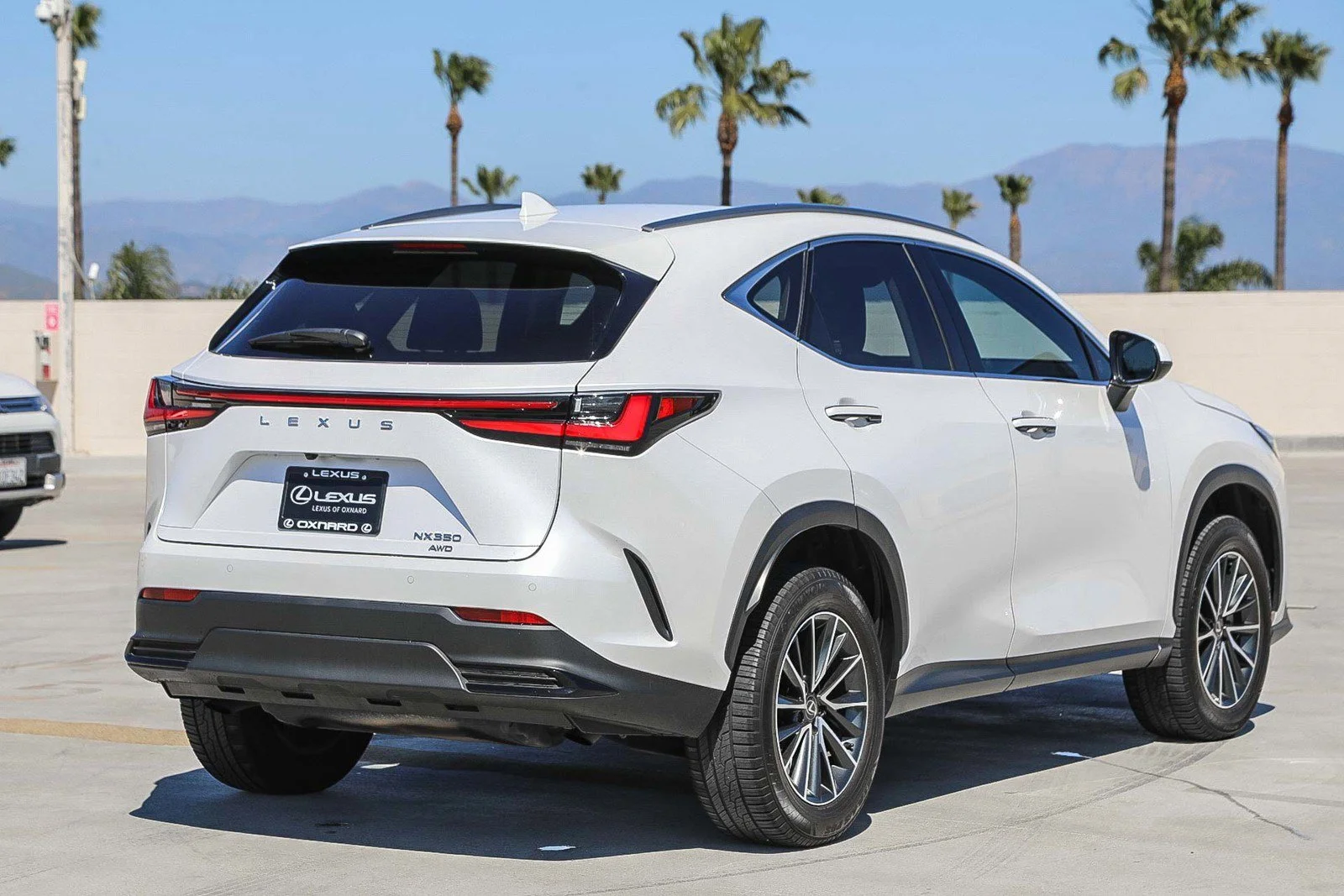 2024 Lexus NX 350 - Photo 6