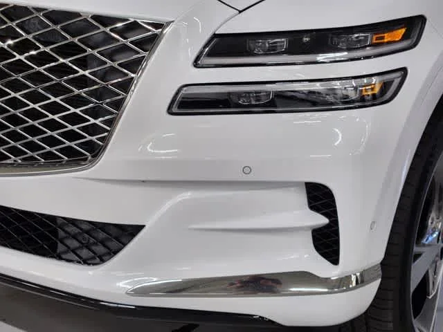 Used 2023 Alta White Genesis  image 12