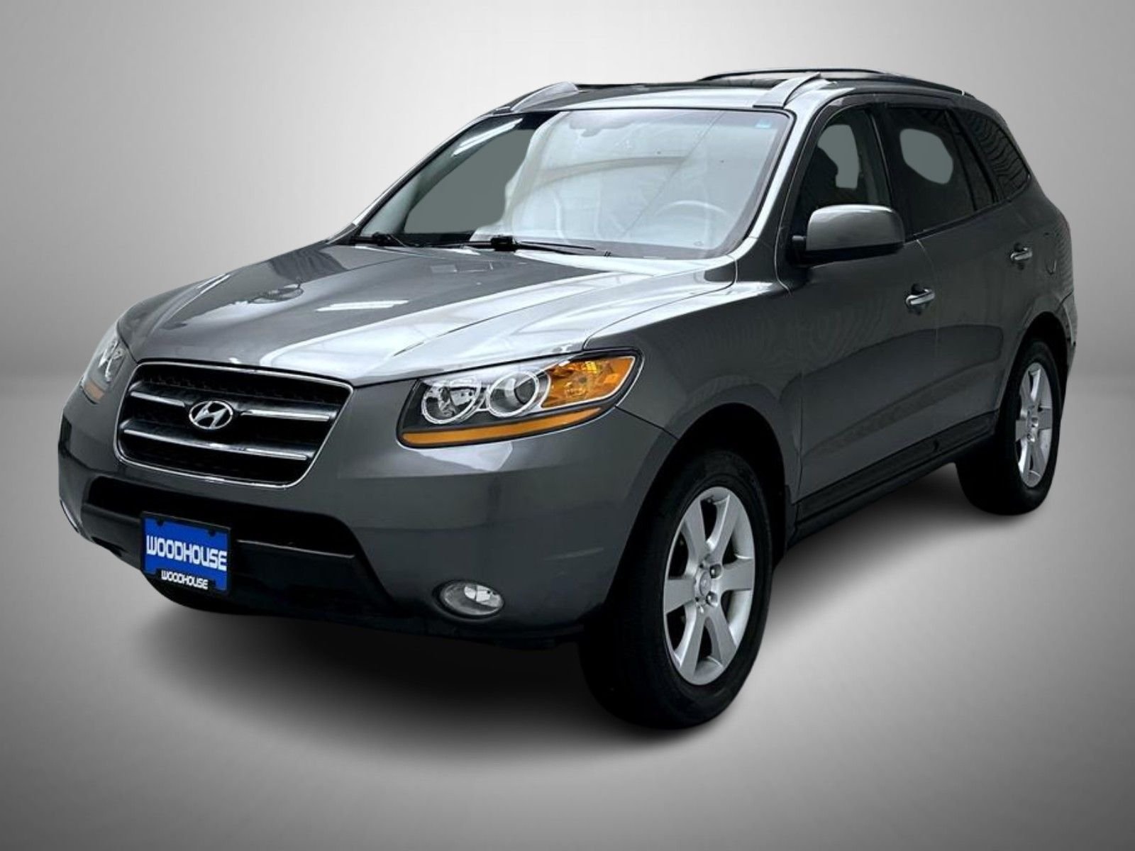 2009 Hyundai Santa Fe's photo