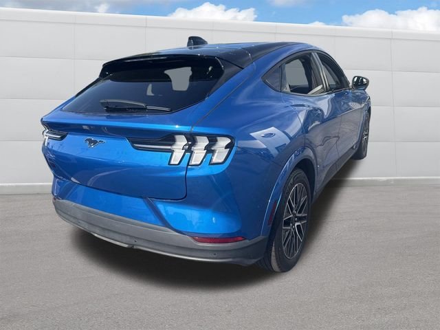 Used 2025 Blue Metallic Ford Premium image 8