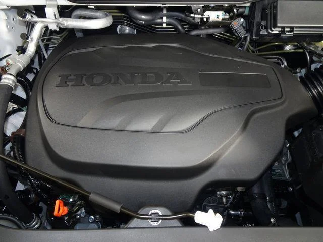 New 2026 White Honda RTL image 10