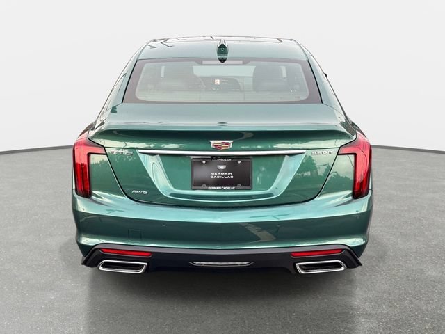 New 2026 Typhoon Metallic Cadillac Premium Luxury image 4