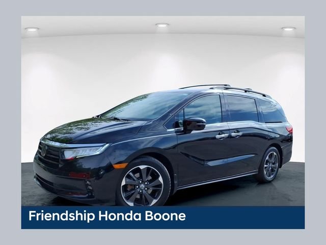 Used 2023 Black Honda Elite image 1