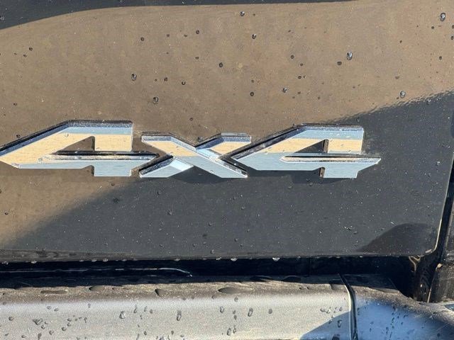 New 2026 Diamond Black Crystal Pearl-Coat Exterior Paint RAM Laramie image 37