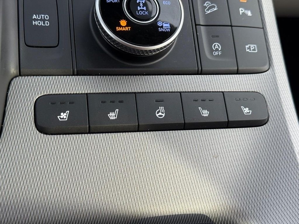 2024 Hyundai Palisade Limited - Photo 24