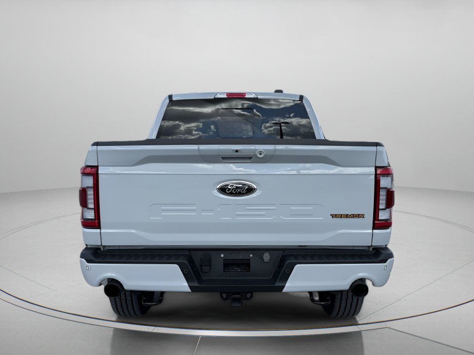 Used 2023 Avalanche Ford Tremor image 4