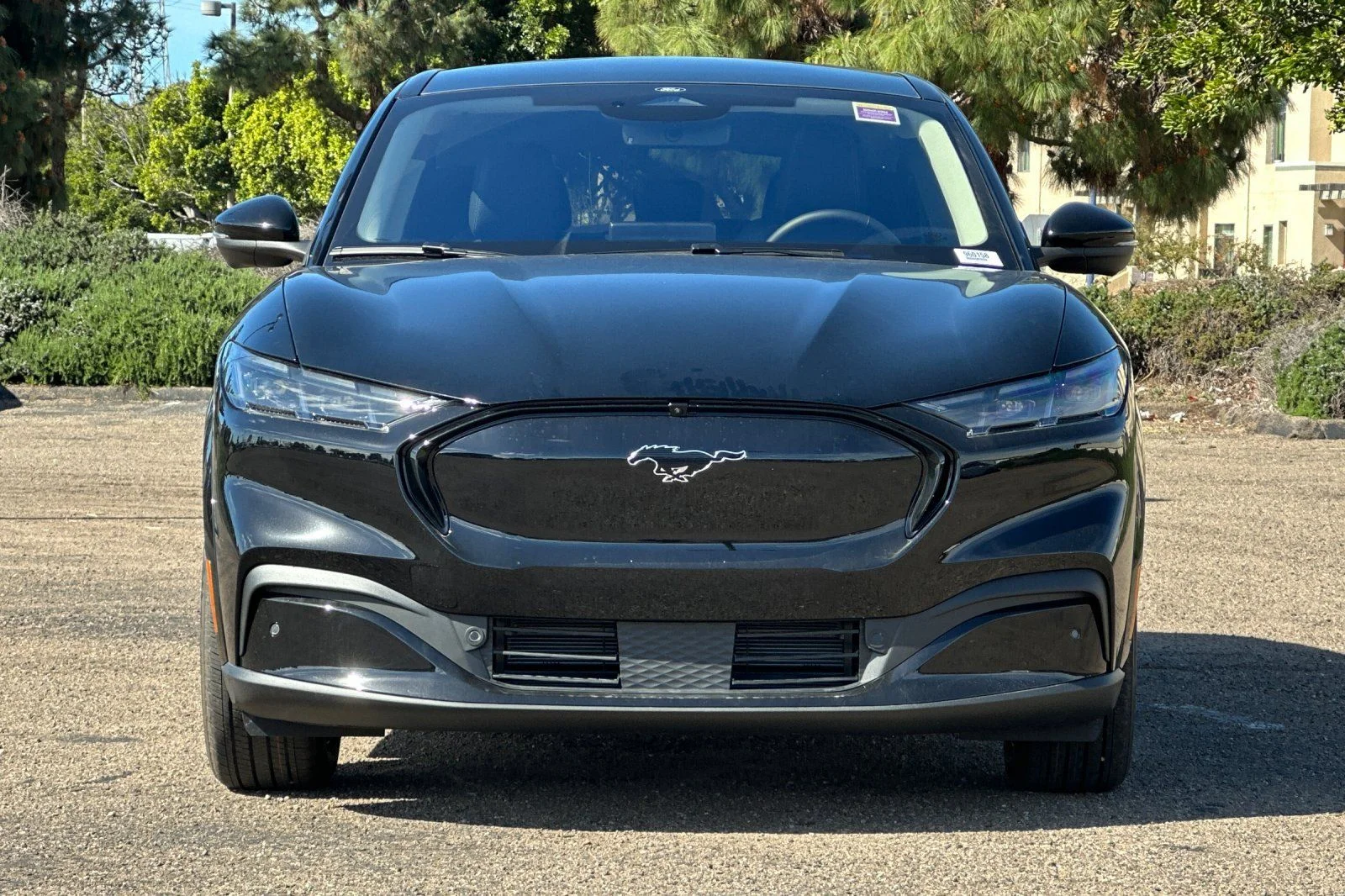 New 2026 Shadow Black Ford Premium image 5