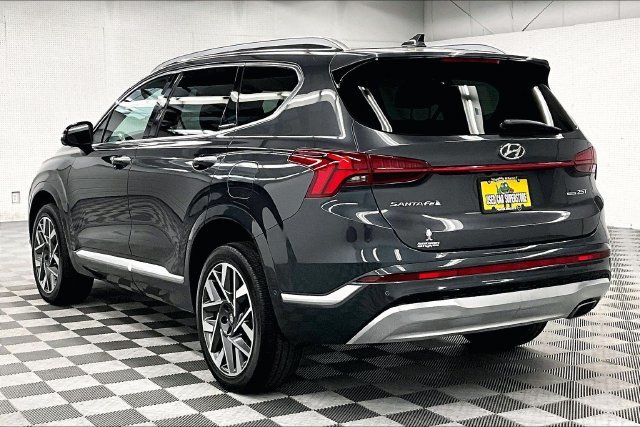 Used 2023 Portofino Gray Hyundai Calligraphy image 2