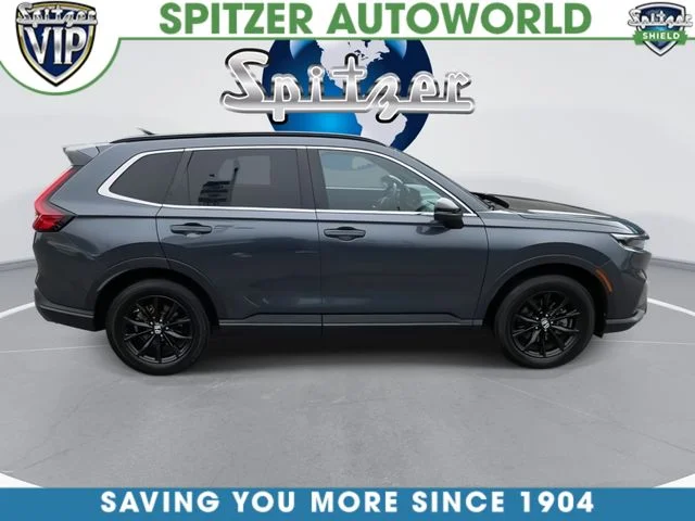 Used 2024 Blue Honda Sport image 2