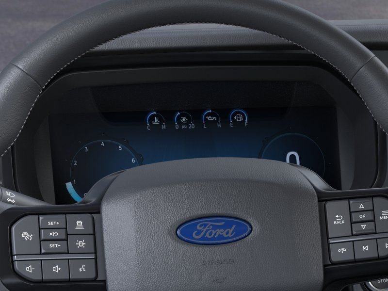New 2026 White Ford Platinum image 13