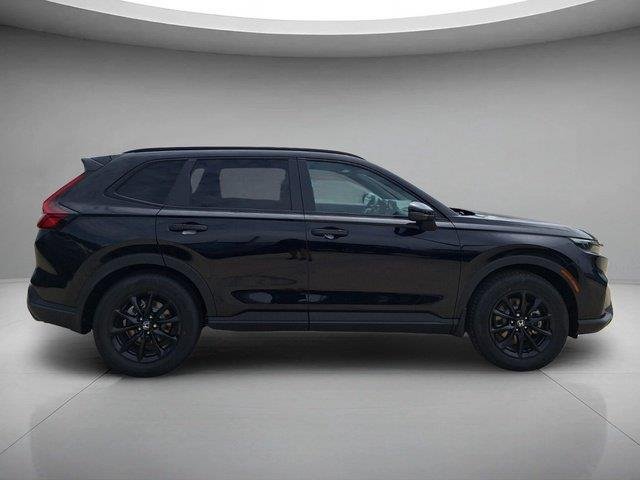 New 2026 Crystal Black Pearl Honda Sport image 6