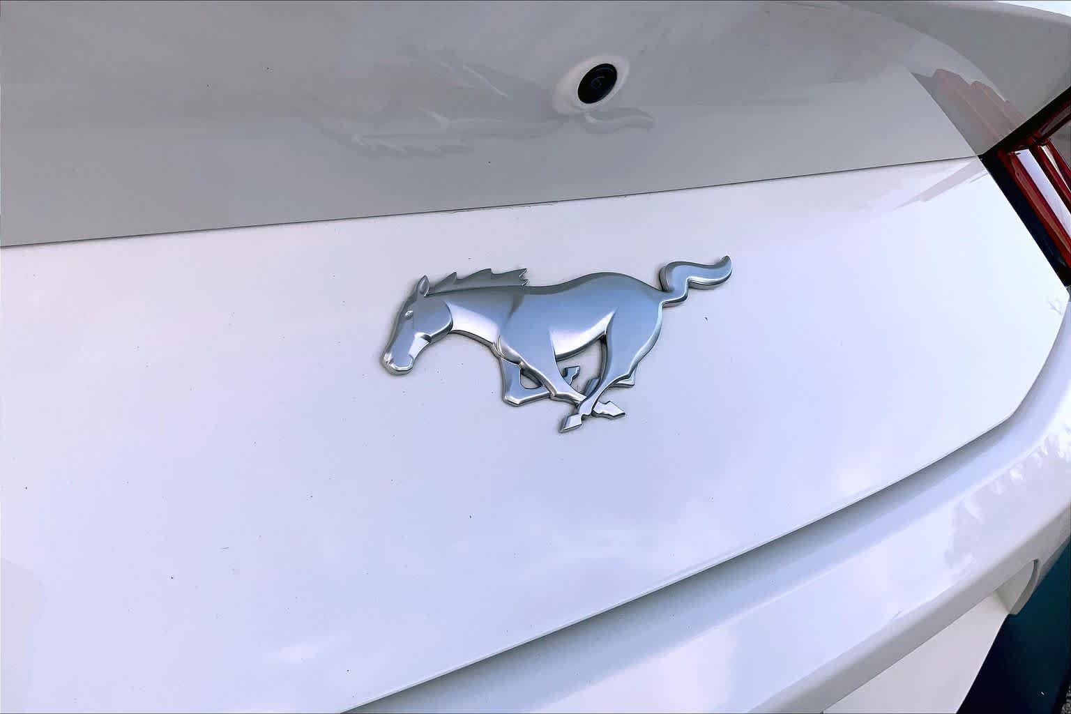Used 2024 Oxford White Ford EcoBoost Premium image 30