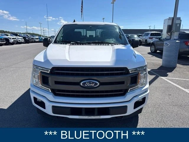 Used 2020 White Ford XLT image 1