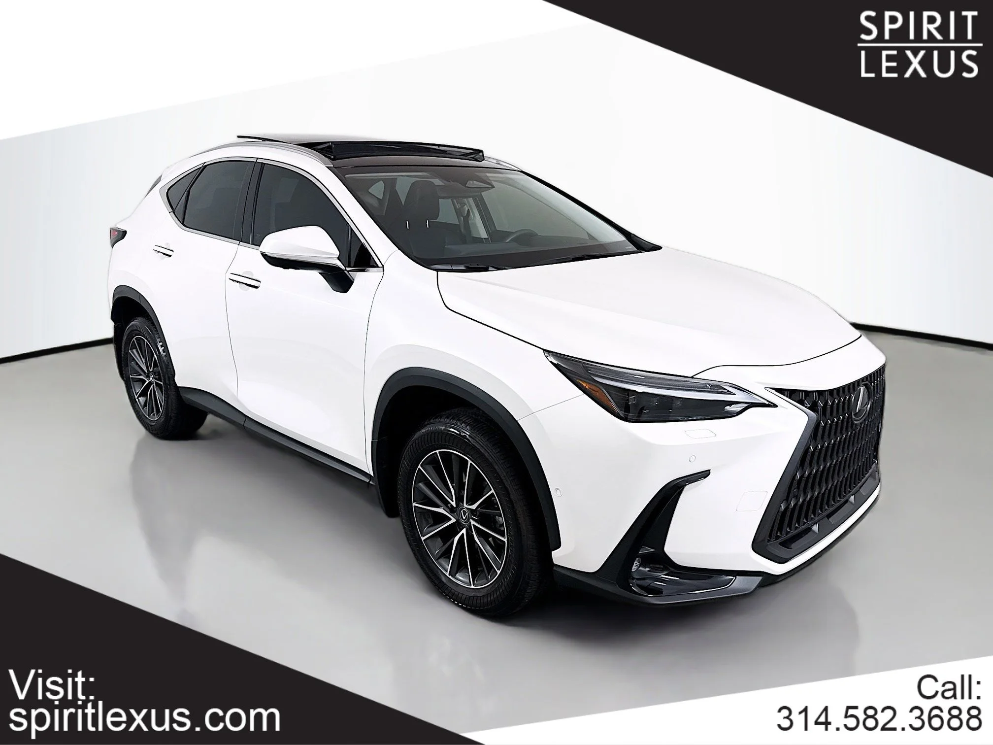 2025 Lexus NX 350h 350h Luxury AWD's photo