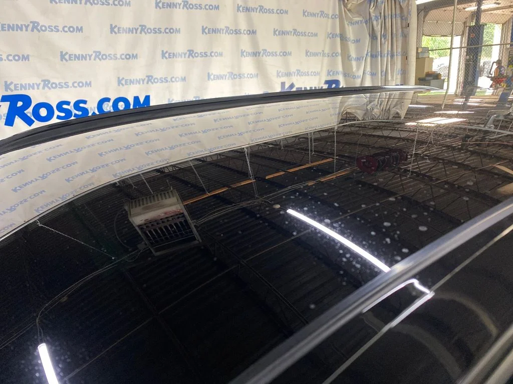 Used 2026 Green Hyundai Limited image 13