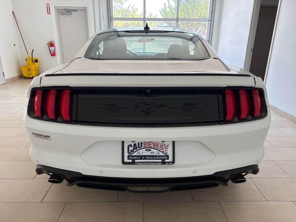 Used 2021 White Ford EcoBoost Premium image 6