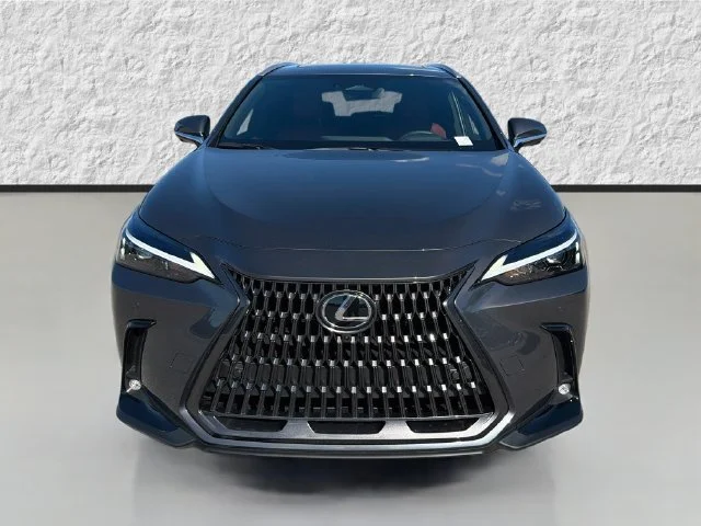 New 2026 Cloudburst Gray Lexus PREMIUM image 8