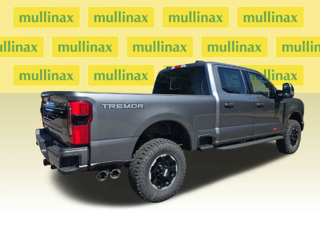 New 2026 Gray Ford Platinum image 3