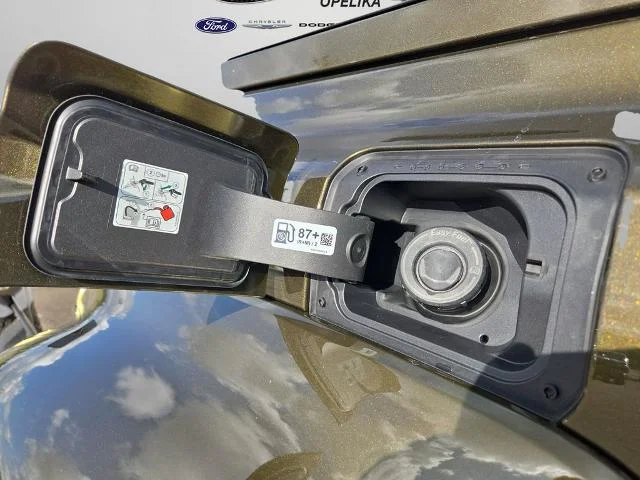 New 2025 Shelter Green Metallic Ford Raptor® image 20