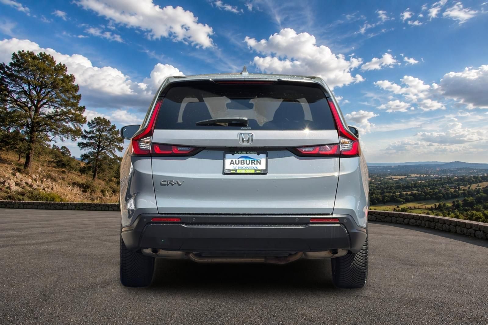 Photo 35