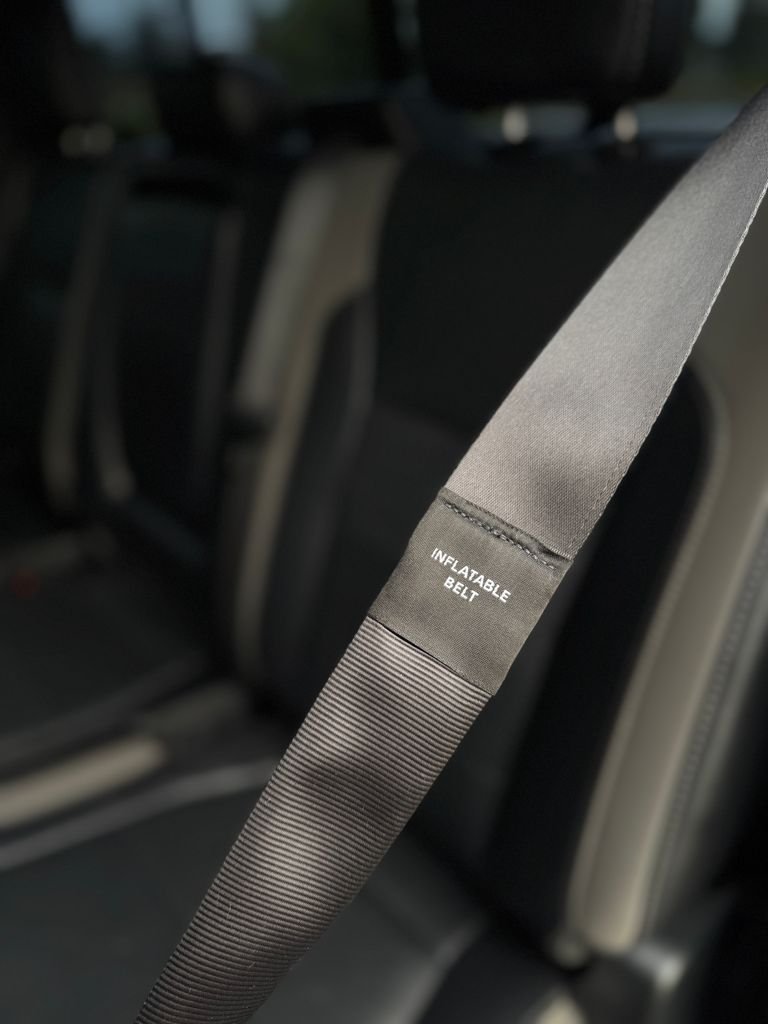 Used 2017 Shadow Black Ford Raptor image 42