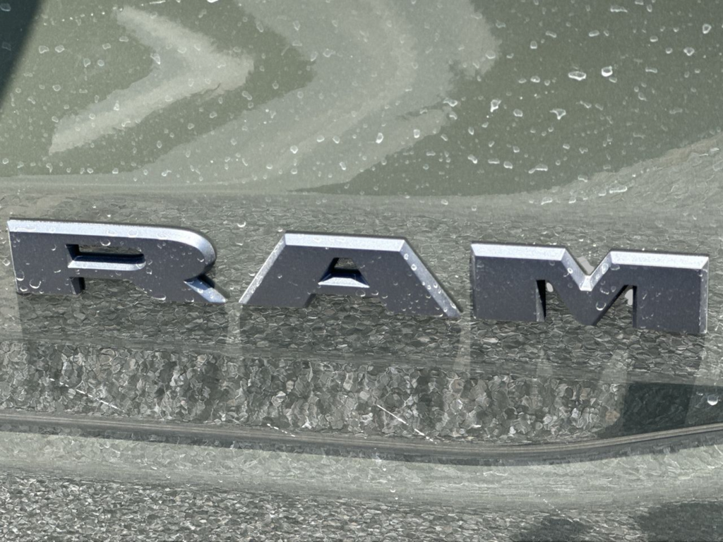 New 2026 Tank Exterior Paint RAM Rebel image 44