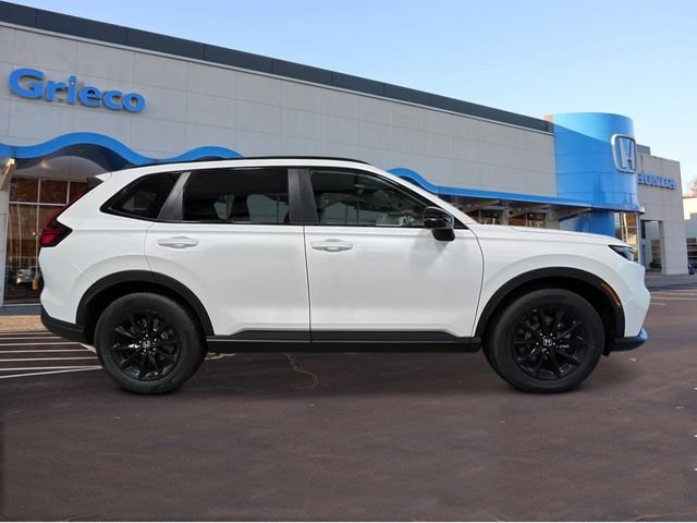 New 2026 Platinum White Pearl Honda Sport image 8