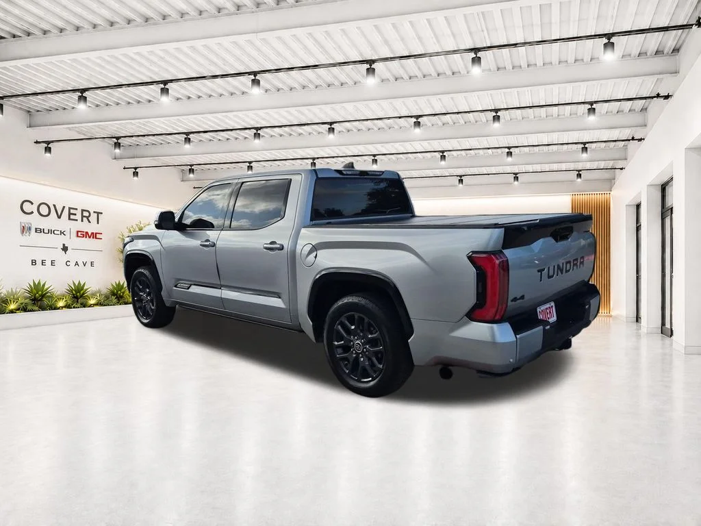 Used 2022 Silver Toyota Platinum image 9