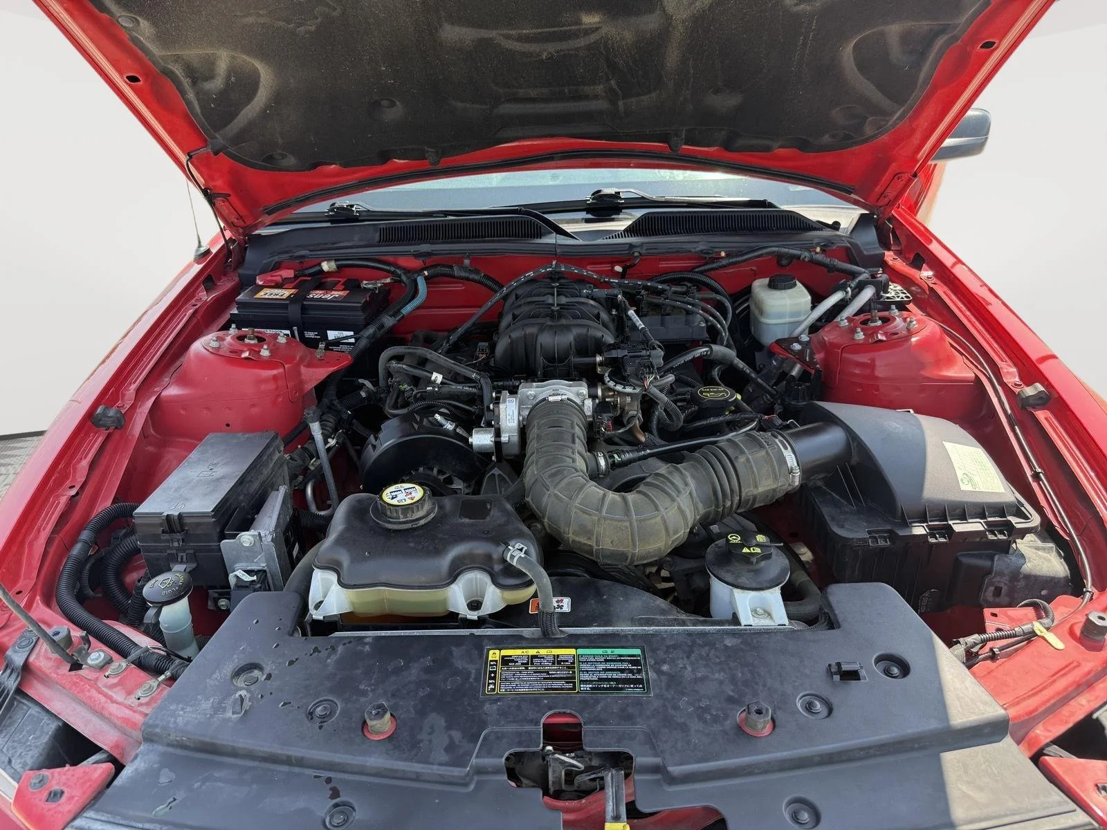 Photo 19