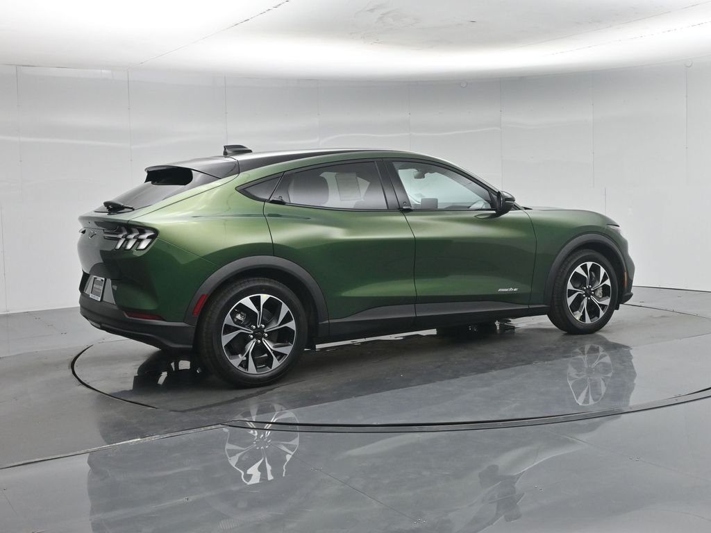 New 2026 Eruption Green Metallic Ford Select image 25