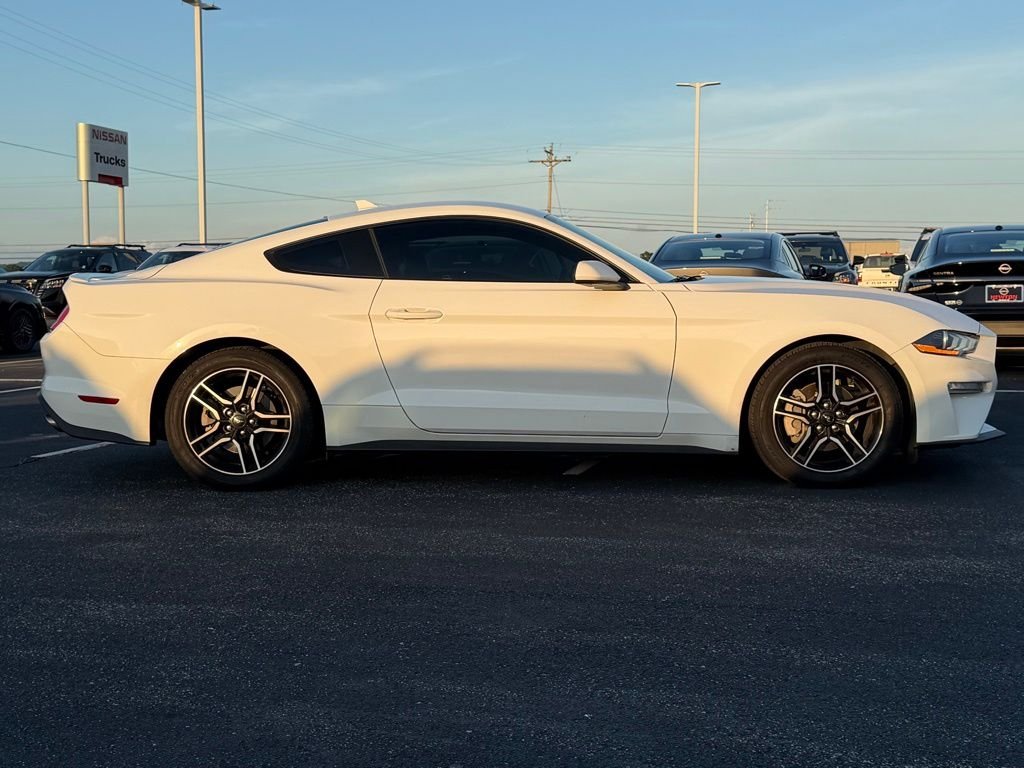 Used 2023 White Ford EcoBoost Premium image 4