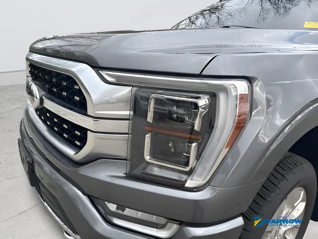 Used 2021 Gray Ford Platinum image 21