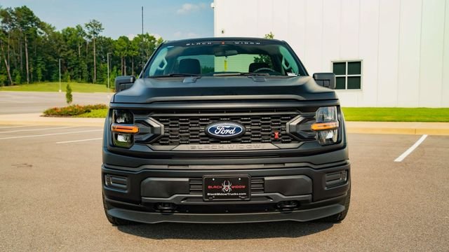Used 2025 Black Ford Black Widow image 8
