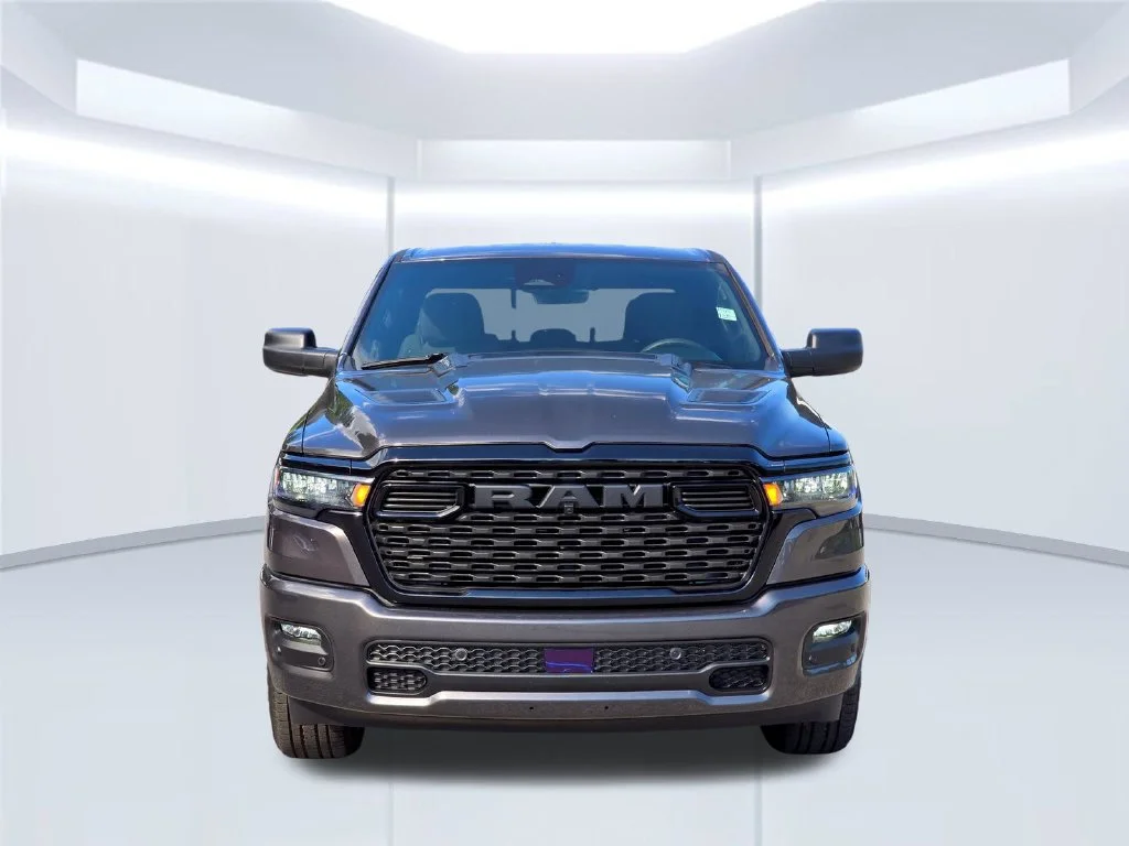 New 2026 Gray Ram Express image 15