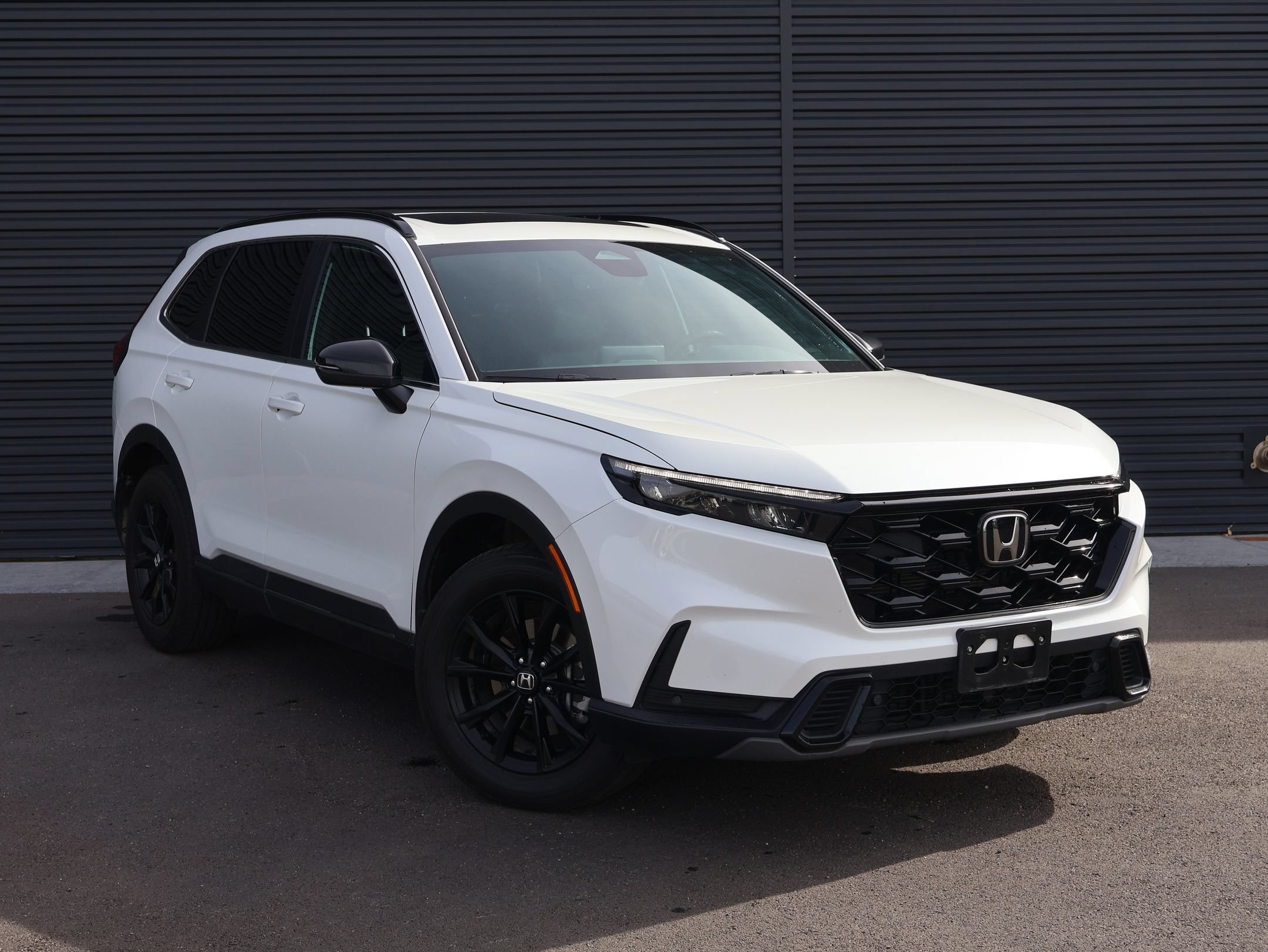 Used 2025 Platinum White Pearl Honda Sport-L image 3