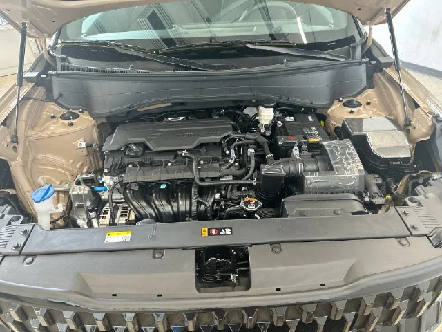 New 2027 Terrain Brown / Black Roof Kia X-Line S image 26
