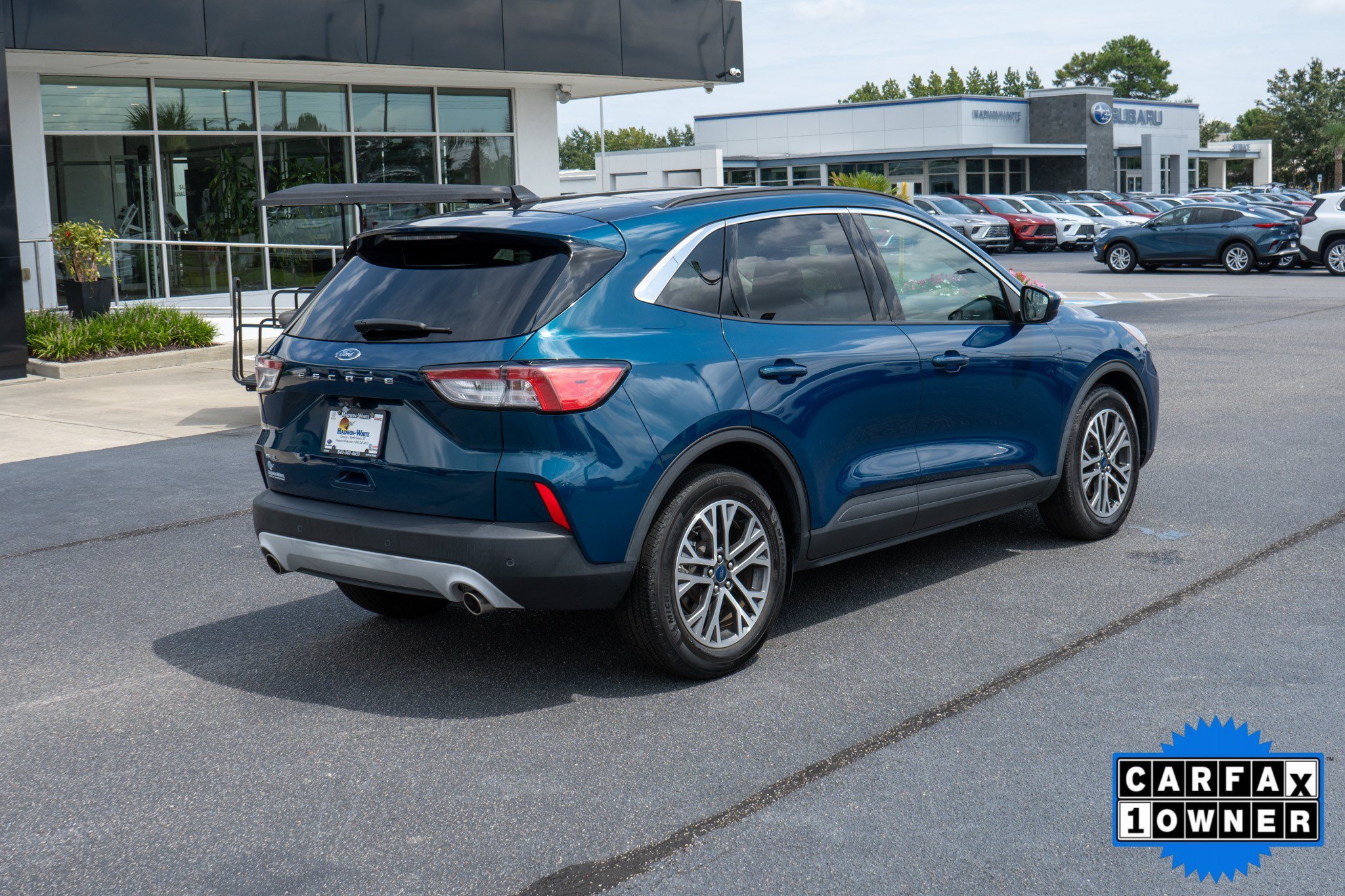 Used 2020 Dark Persian Green Metallic Ford SEL image 3