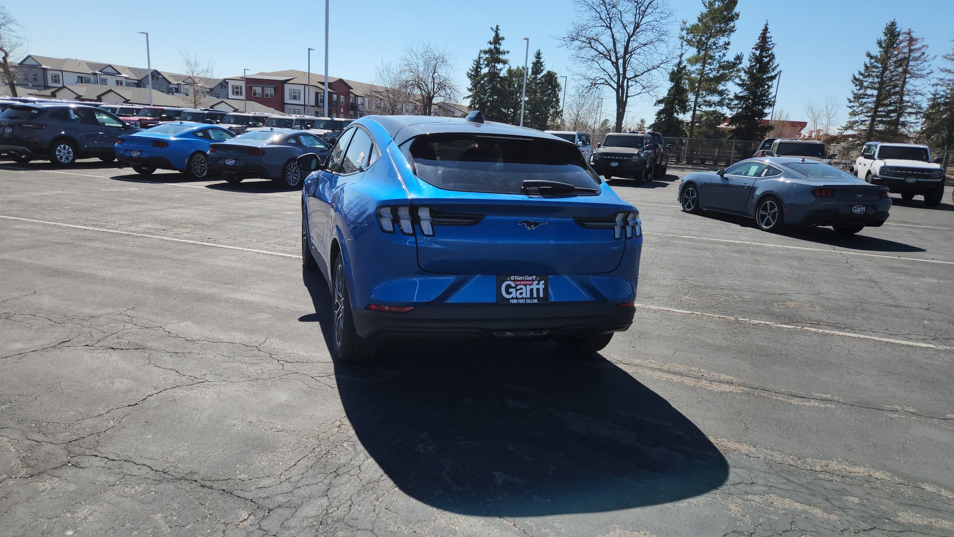 New 2026 Velocity Blue Metallic Ford Premium image 11