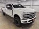 Used 2024 White Ford Platinum image 1