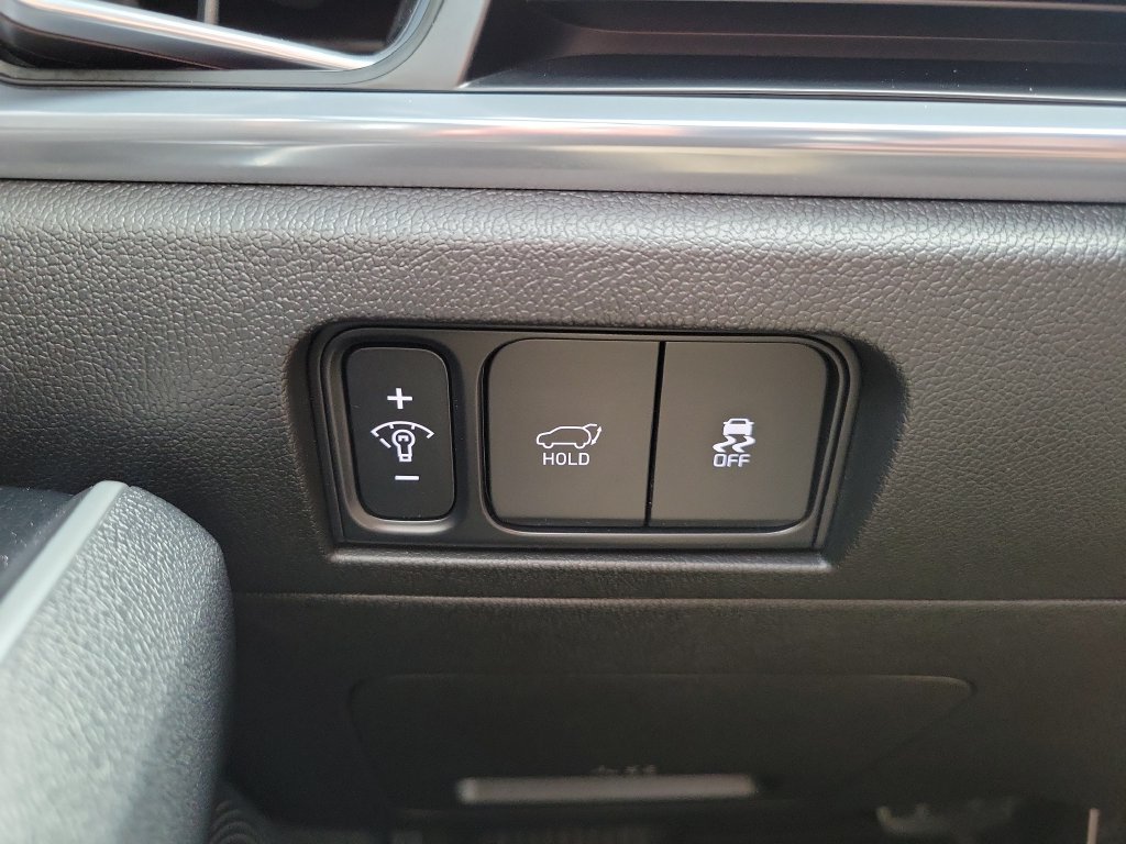 Certified Used 2026 Panthera Metal Kia SX image 25