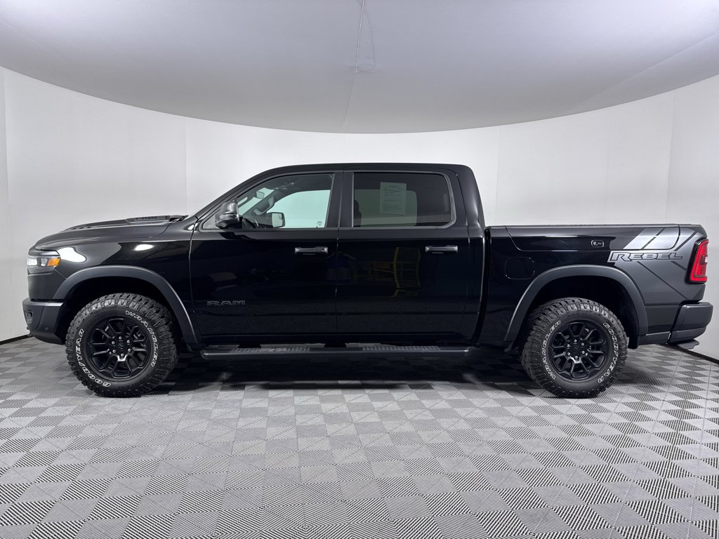 Used 2025 Black Ram Rebel image 12