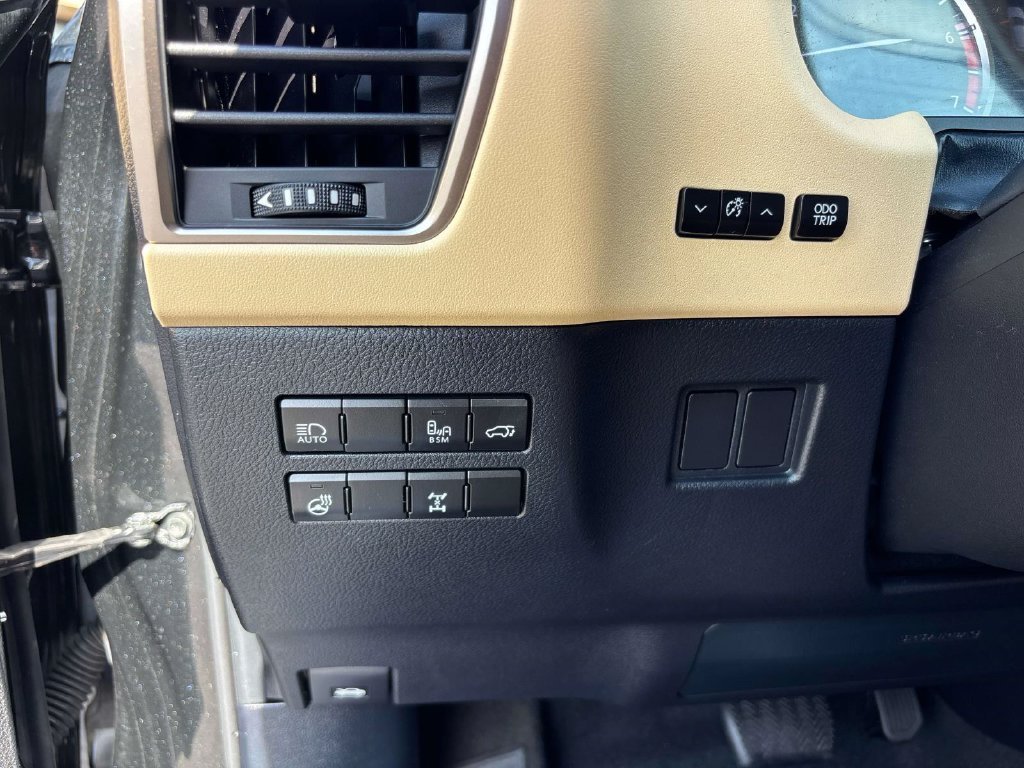 Used 2021 Black Lexus 300 Base image 18