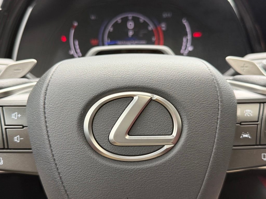 2024 Lexus RX 350 F SPORT - Photo 30