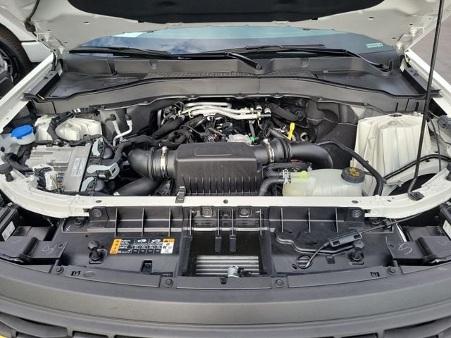 Used 2026 Star White Ford Tremor image 26